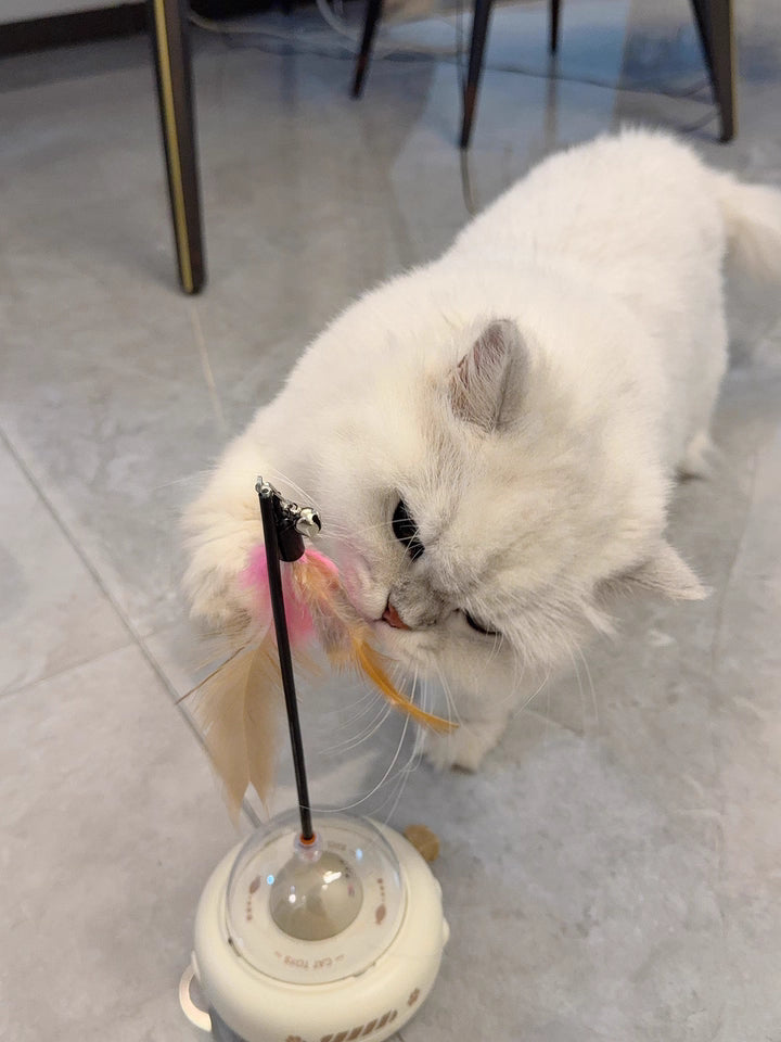 automatic-cat-toy-hands-free