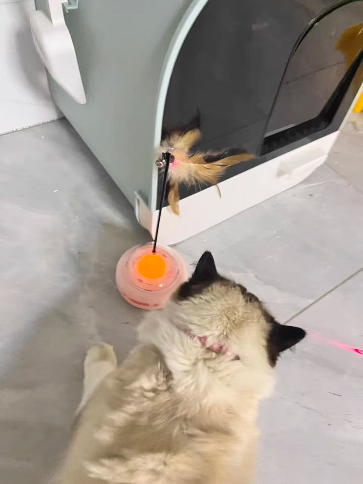 cat-toy-laser-feather-combo
