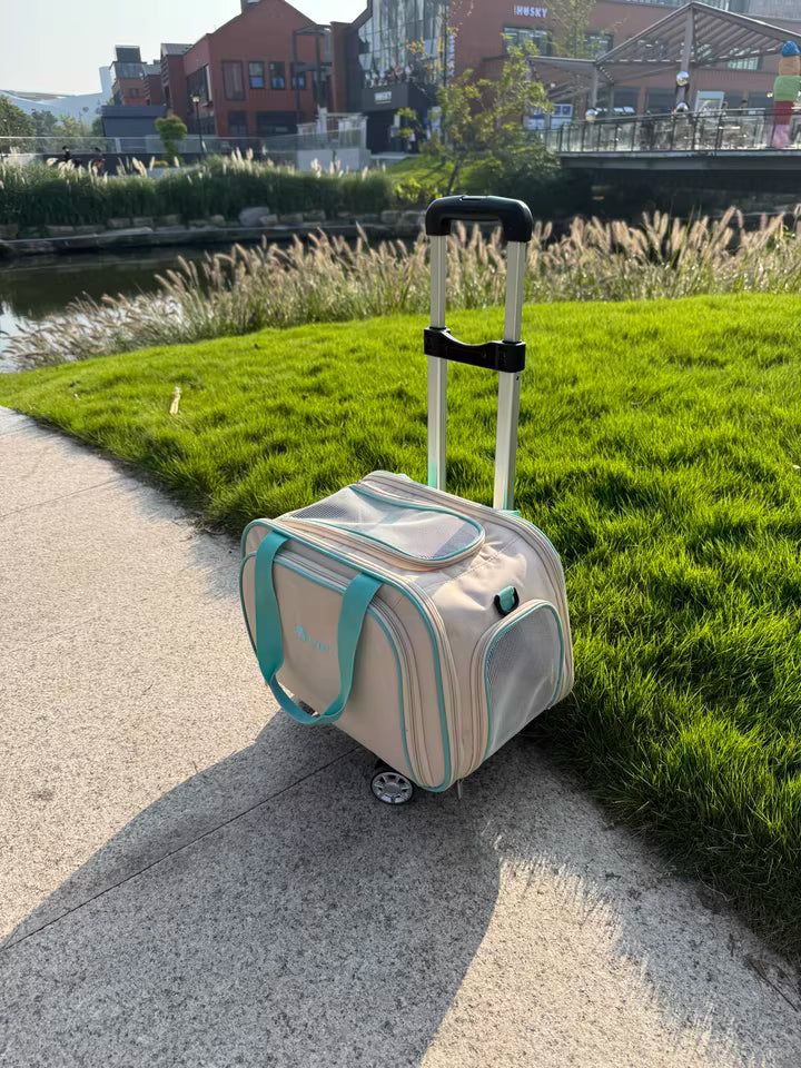 Breathable pet travel carrier with expandable mesh design for airflow