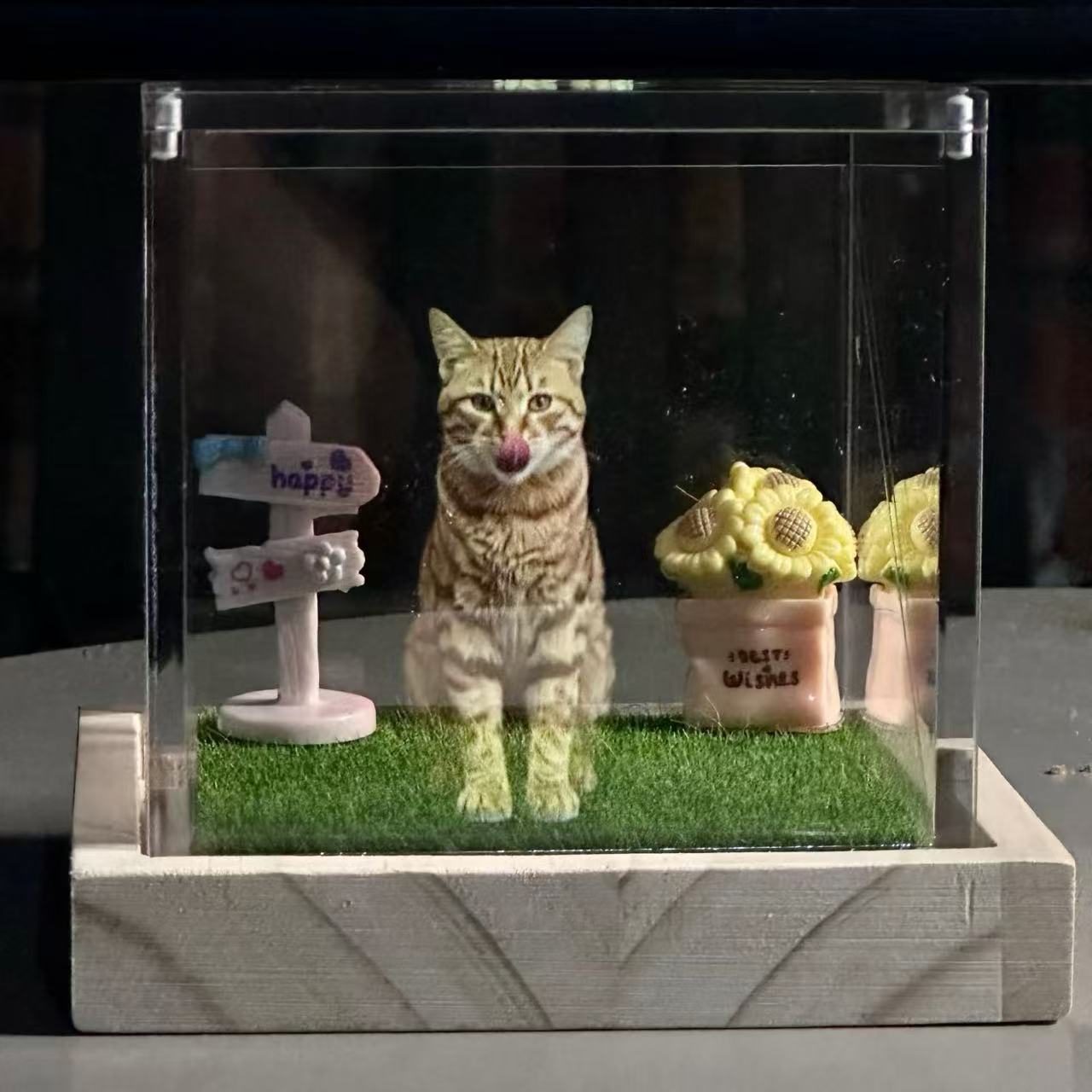 custom pet hologram lamp gift for pet lovers with warm ambient lighting