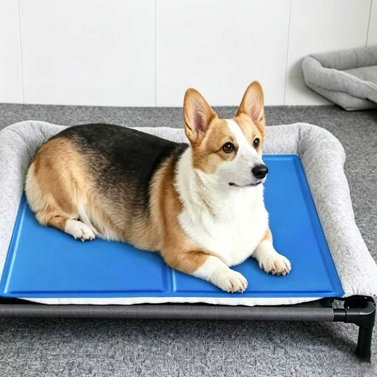 real customer photo of dog lying on cooling pet mat staying cool and relaxed