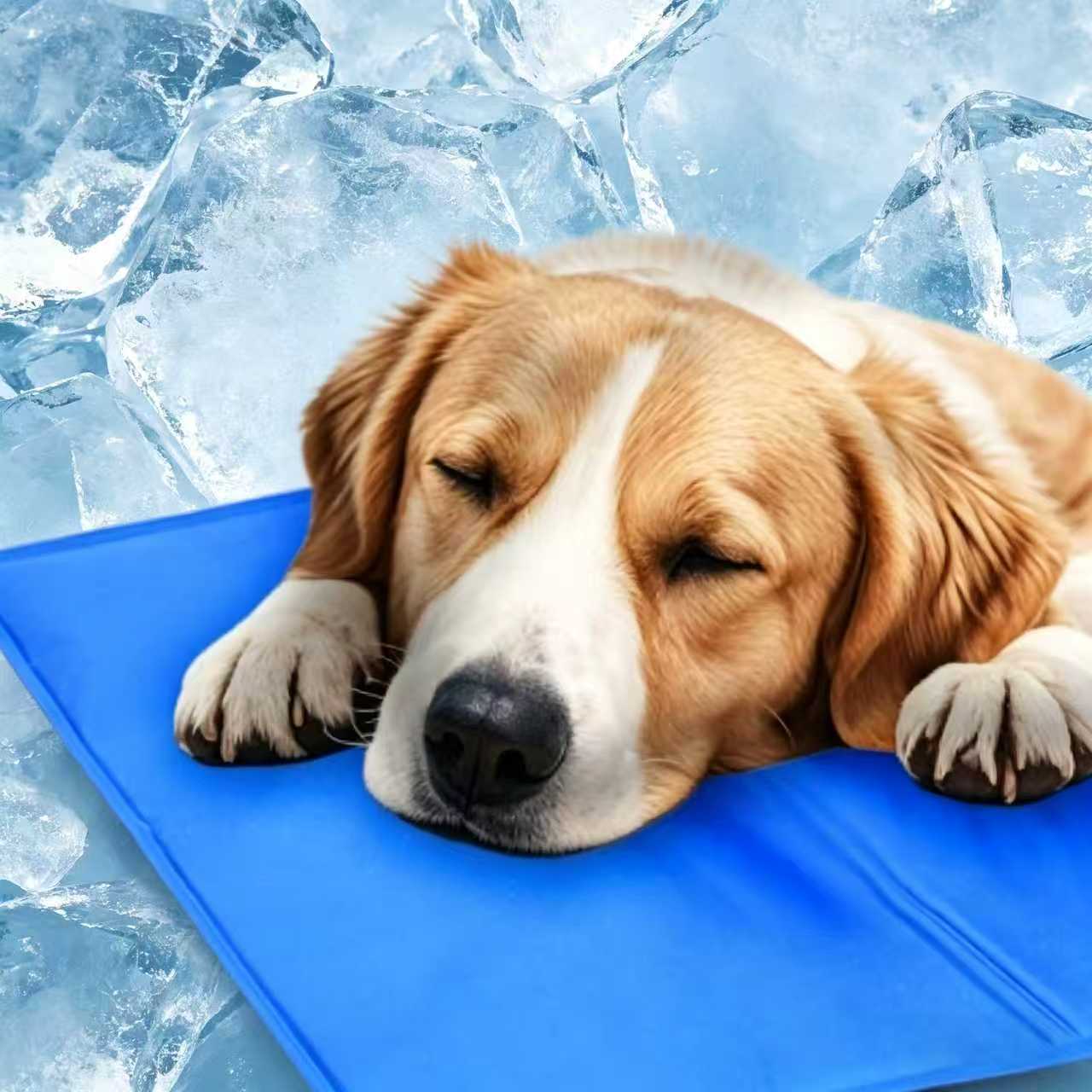 dog lying on cooling pet mat indoors staying cool and comfortable