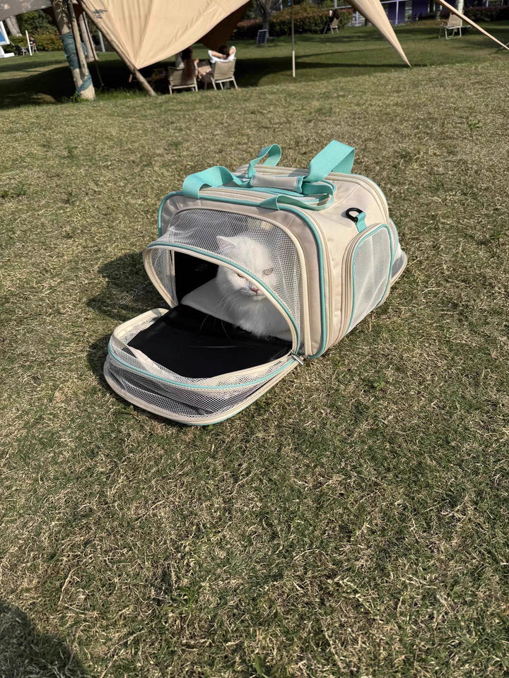 Durable pet carrier with wheels and expandable space for pets to relax