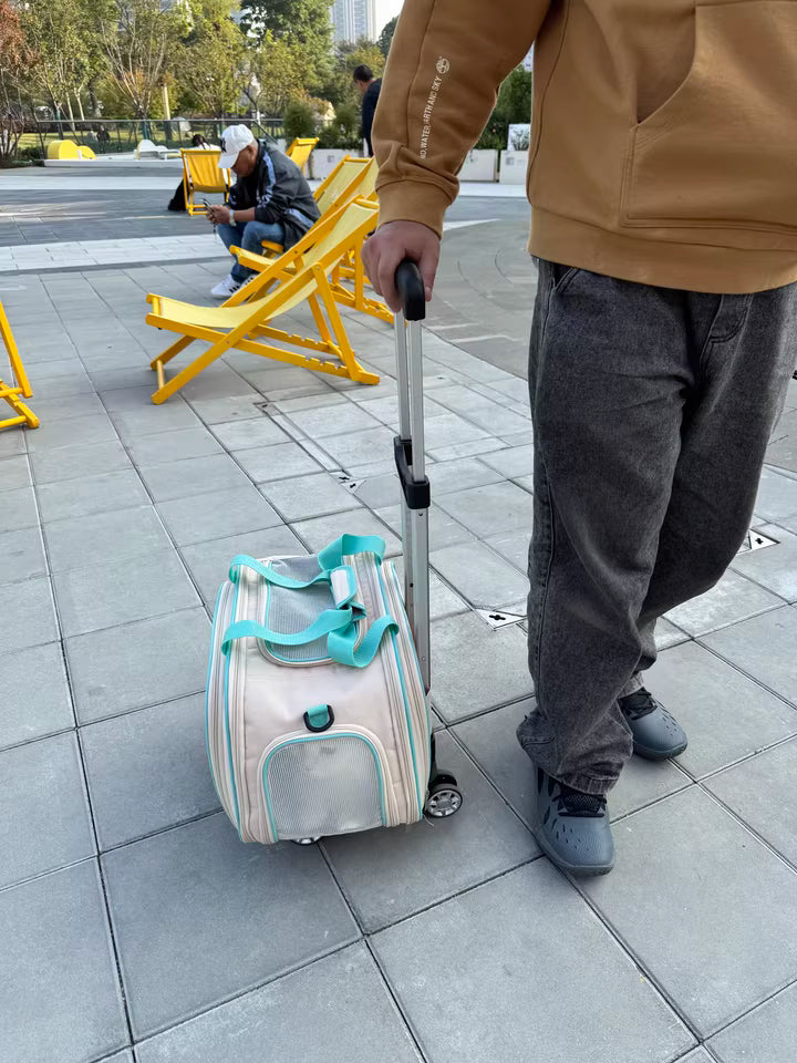 Foldable expandable pet carrier bag with rolling wheels for easy transport