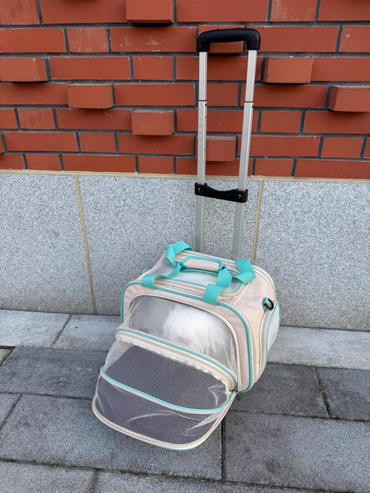 Pet carrier with wheels and expandable large space for comfortable travel