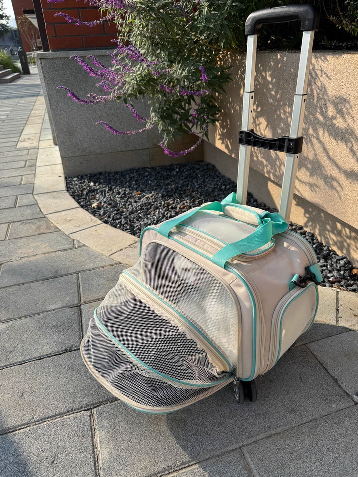 Stylish pet carrier with wheels modern travel bag for cats and small dogs